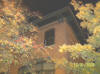face_in_window_2].JPG (352810 bytes)